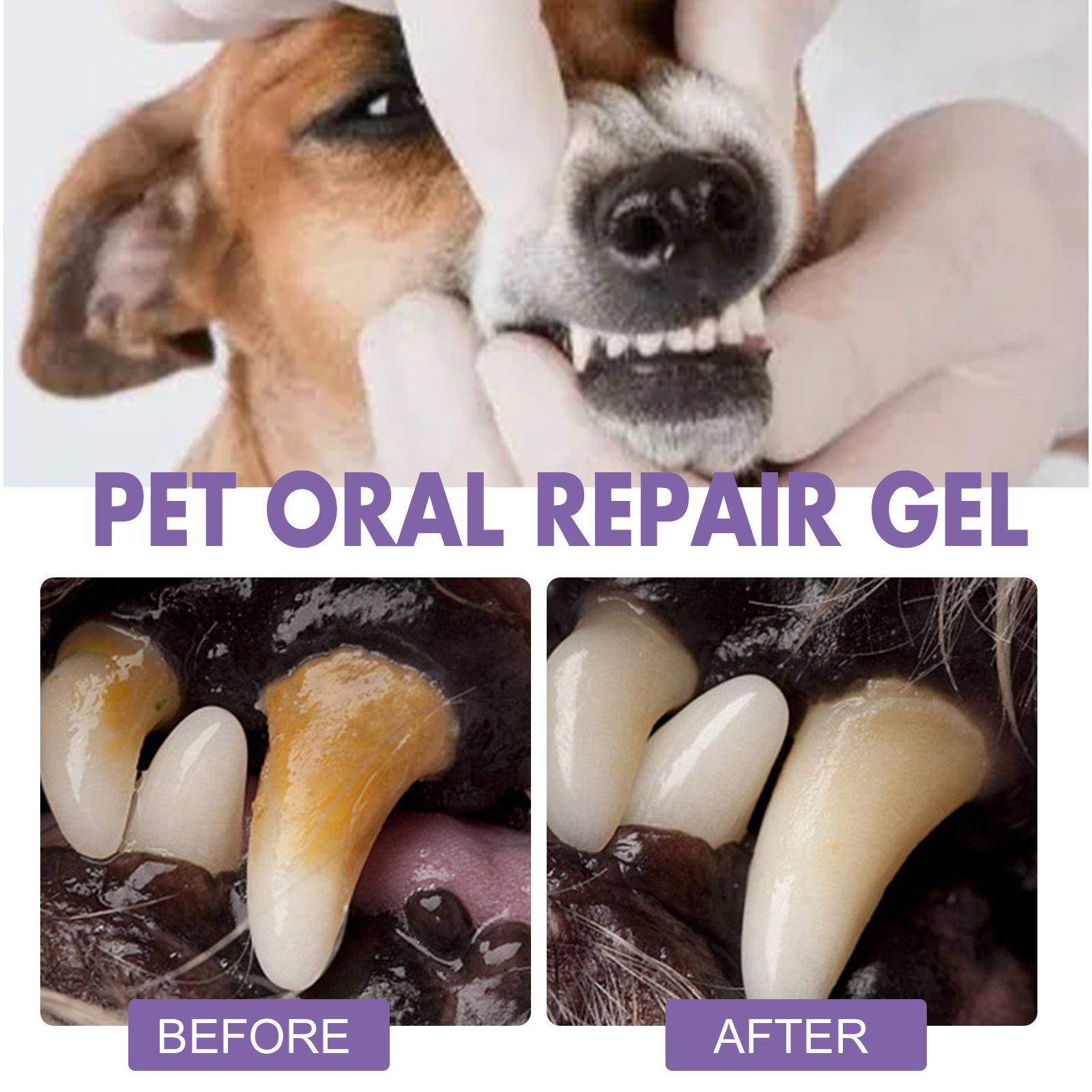 Гель для восстановления полост – обзор и цена Teeth Whitening Paste